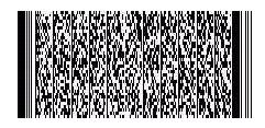 PDF 417 barcode